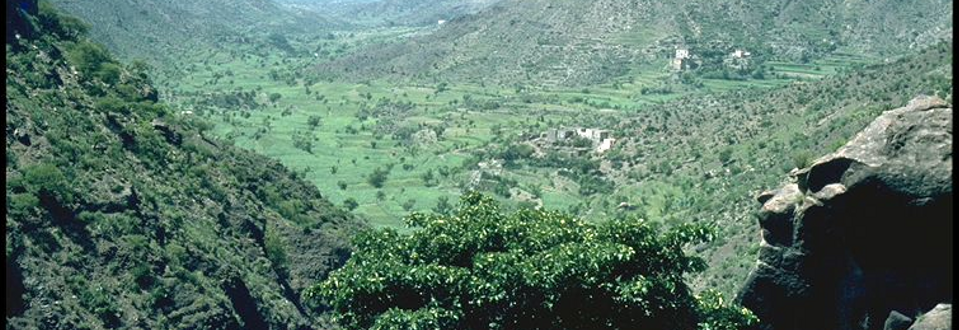 Lower Yemen, from Ba`dan towards the Qa`taba plain, 1974 (Mundy)