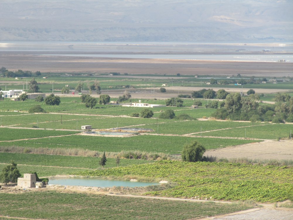 Ghor al-Safi agricultural lands. From September to March, tomato is the dominant, with the harvest period starting in December.