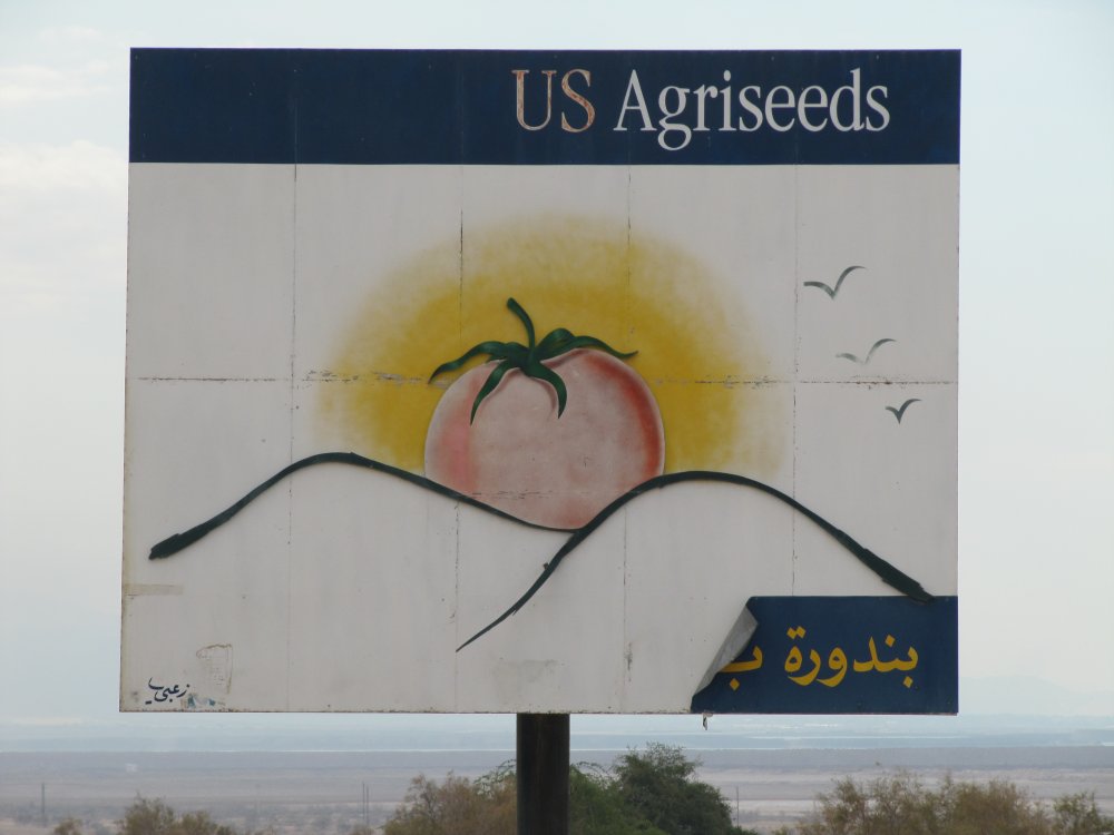Tomato 'sunrise' sign on the Dead Sea Highway along the approach to Ghor al-Safi, Jordan